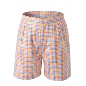 DENNIS SWIMSHORT MULTICOLOR GINGHAM