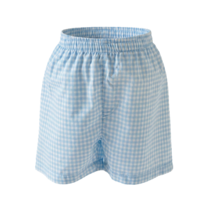 DENNIS SWIMSHORT SKY GINGHAM